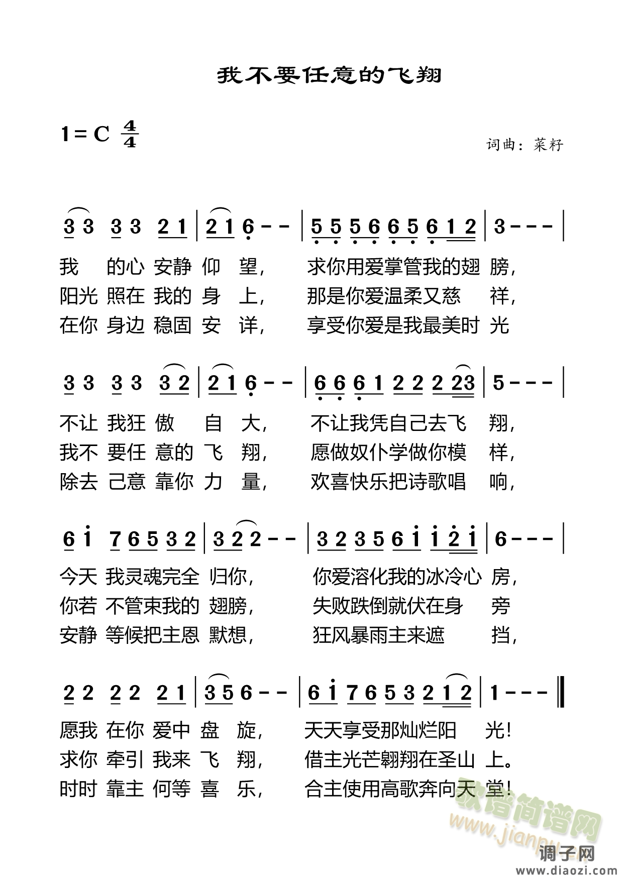 我不要任意的飞翔