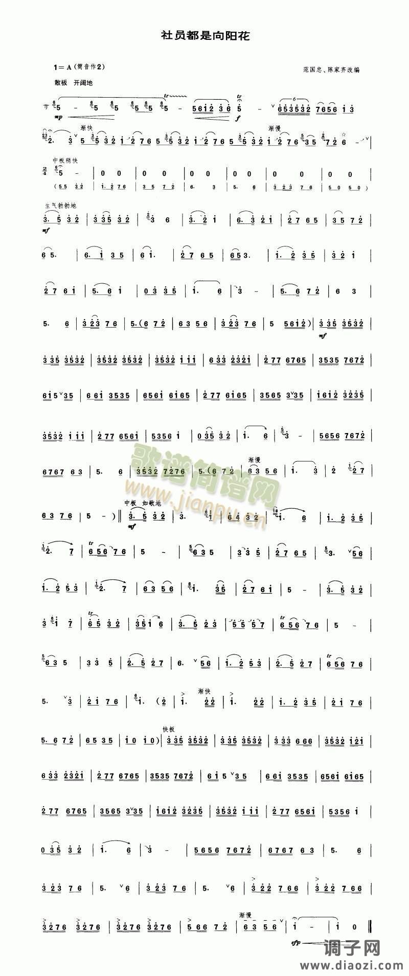 社员都是向阳花