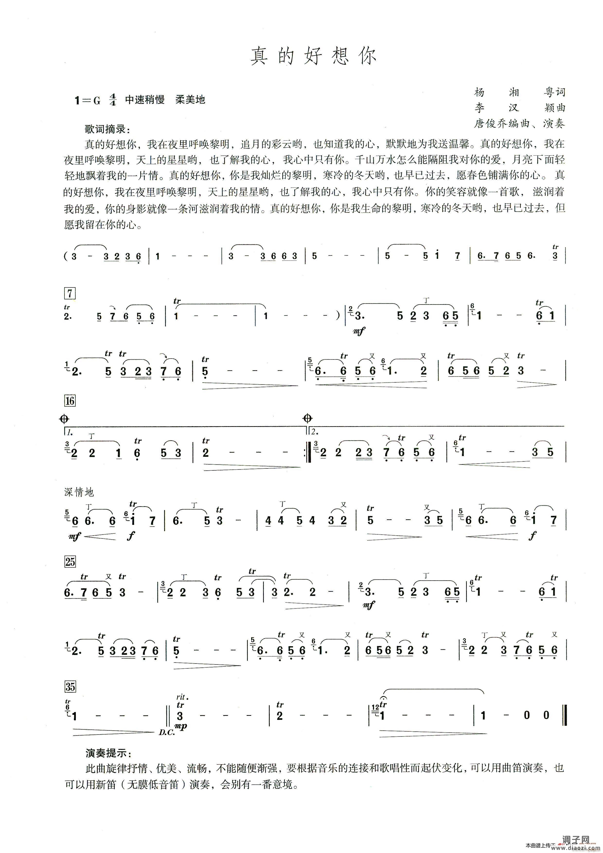 真的好想你（笛子演奏提示版）