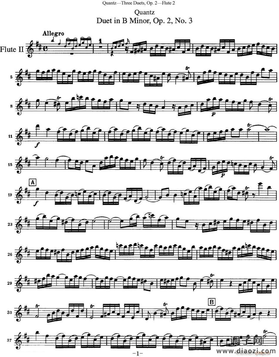 匡茨G大调长笛二重奏Op 2——Flute 2(No 3) 长笛