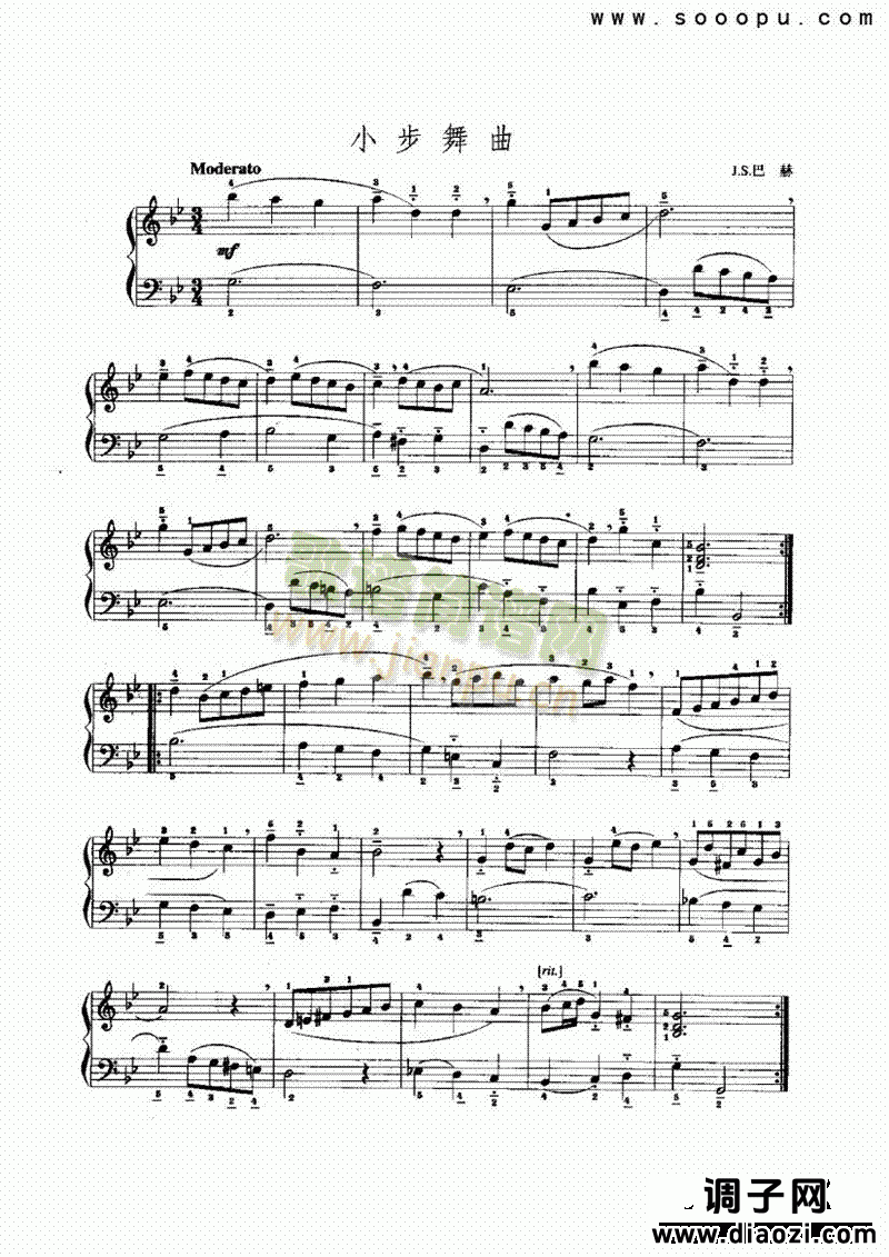 小步舞曲8 键盘类 手风琴