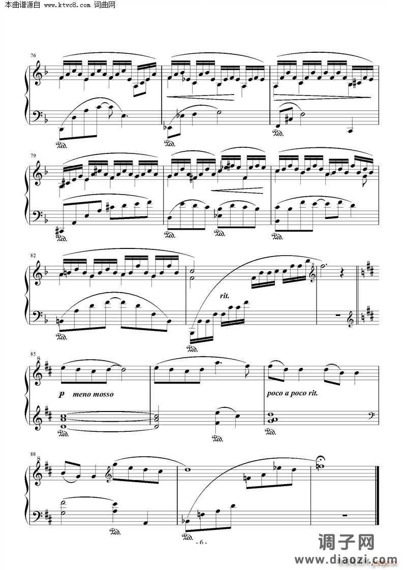 校门口的林荫小道