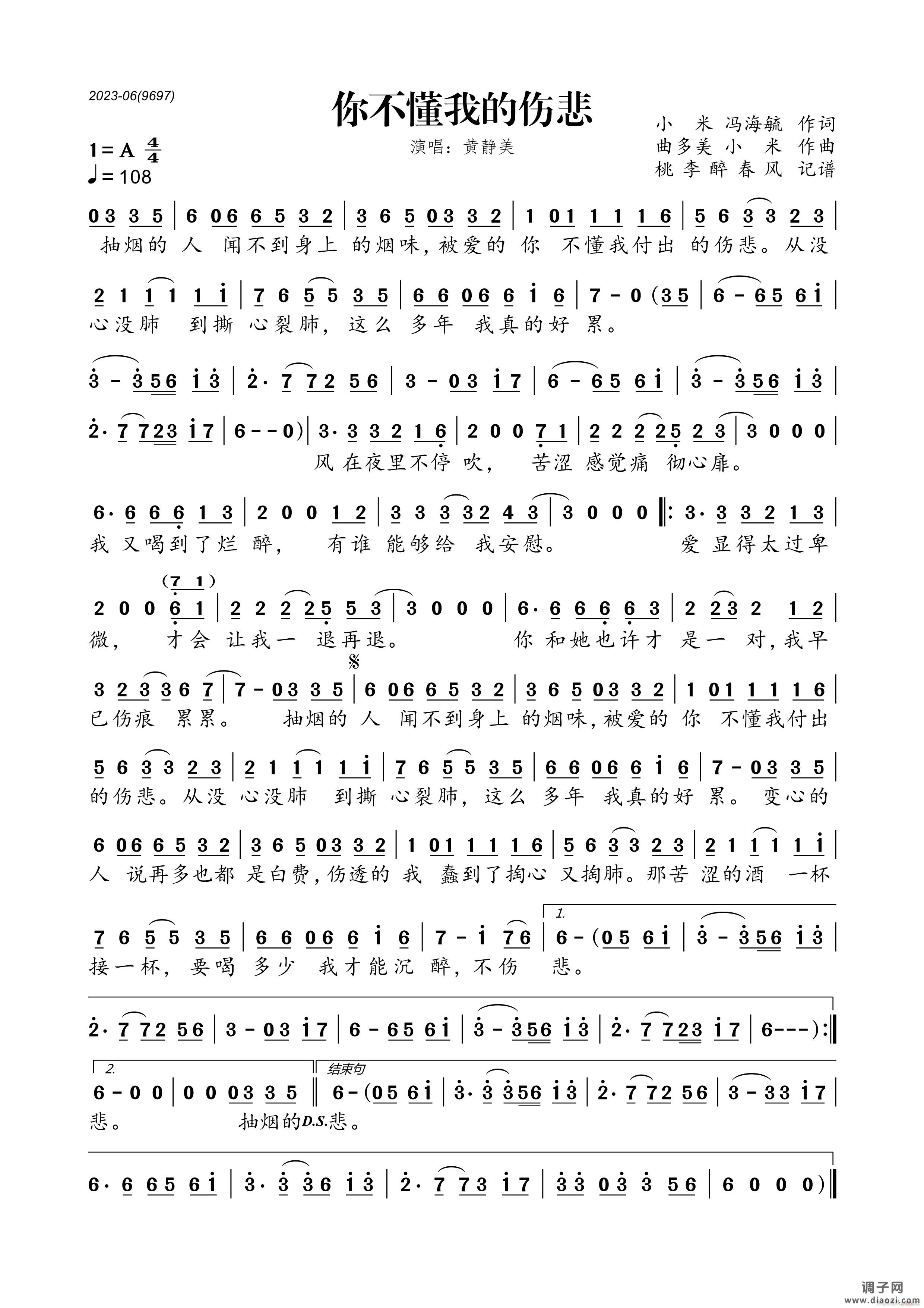 你不懂我的伤悲