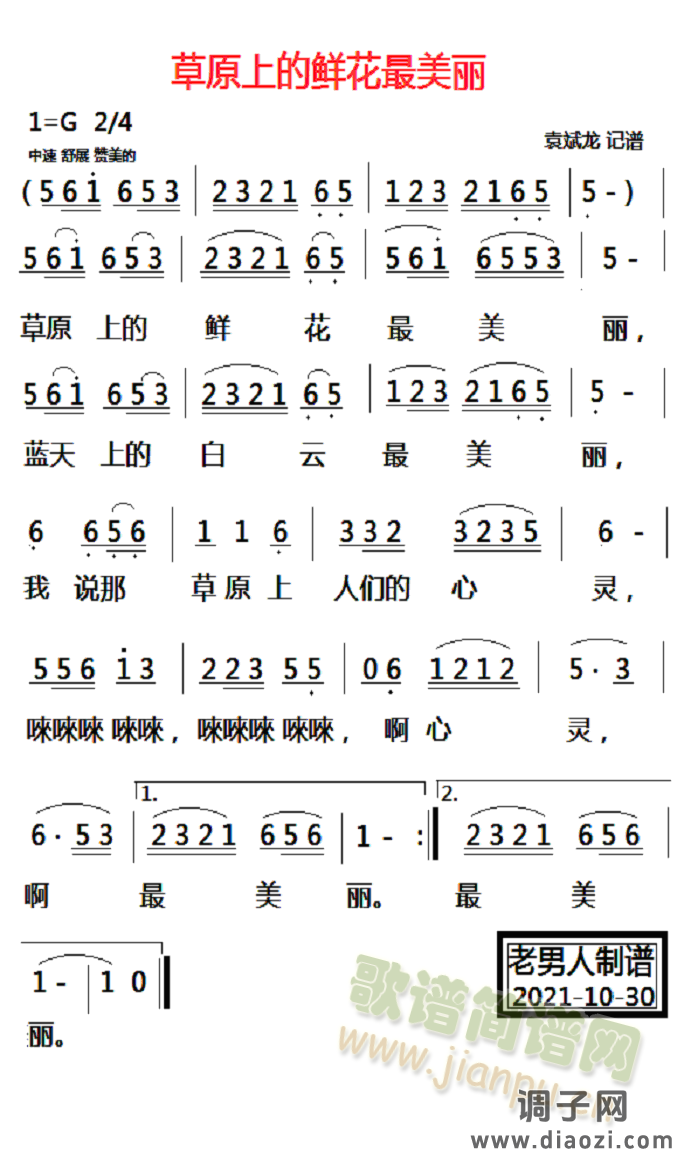 草原上的鲜花最美丽