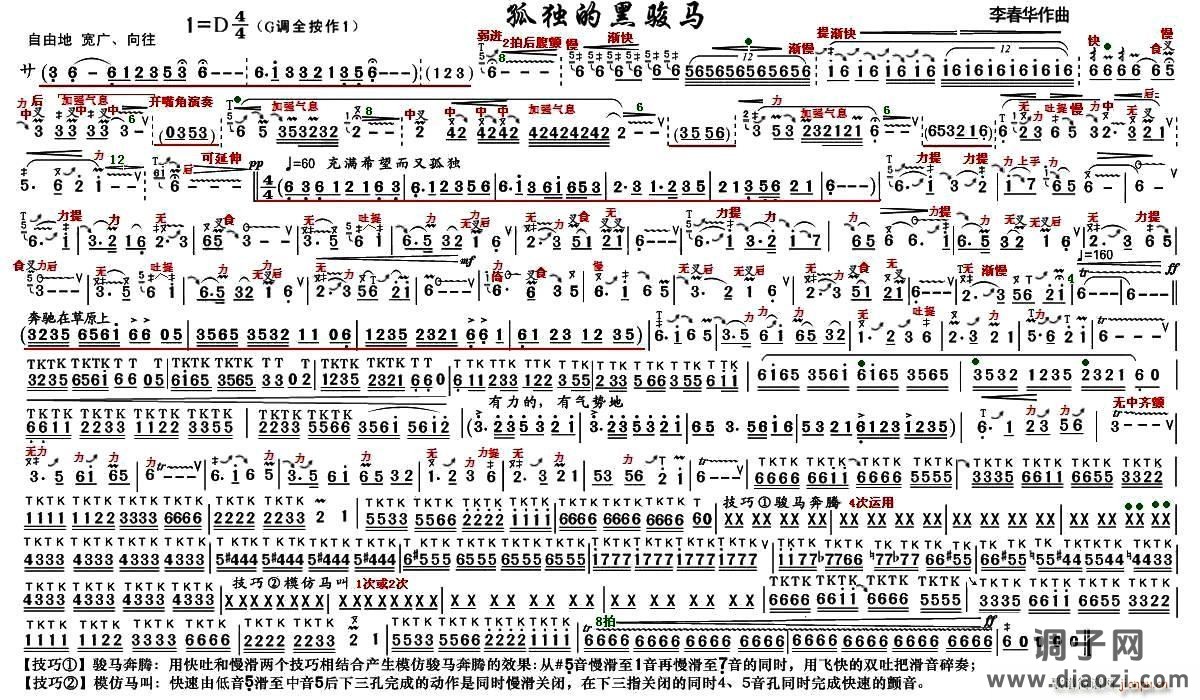 孤独的黑骏马（技巧谱）
