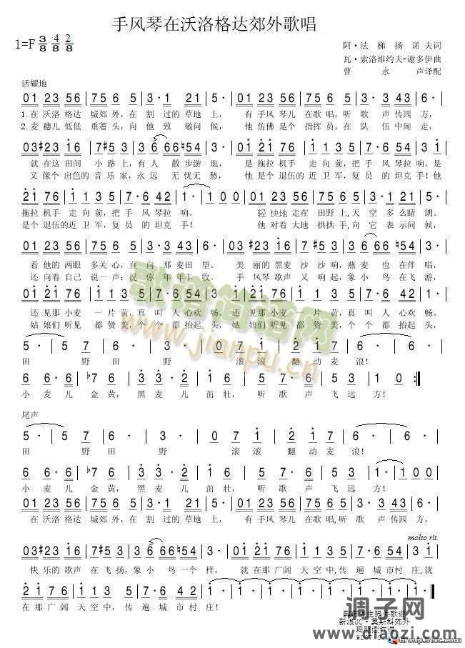 手风琴在沃洛格达郊外歌唱