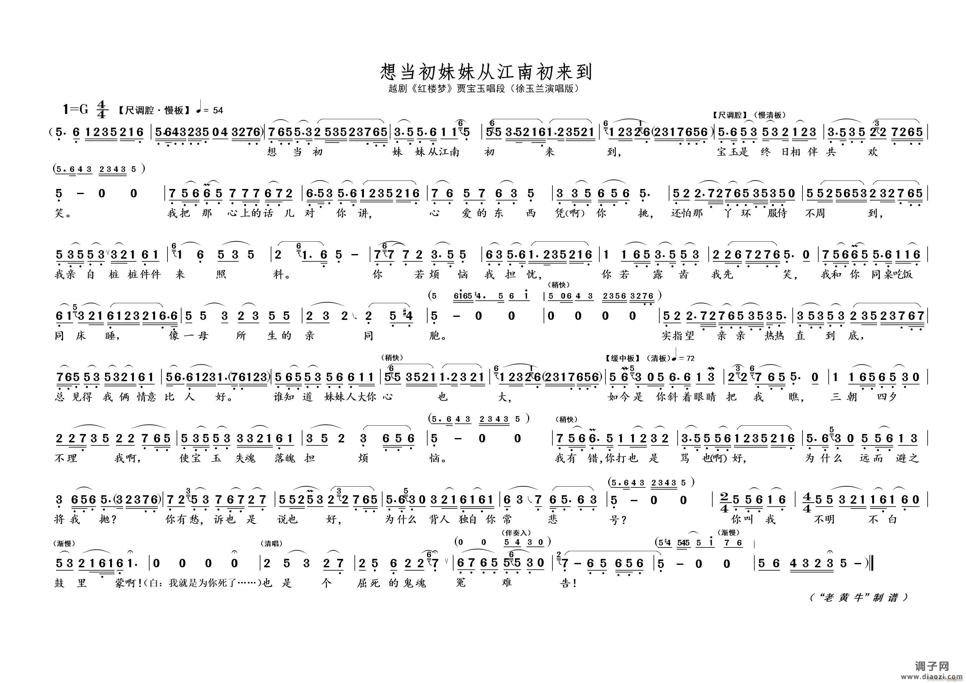 想当初妹妹从江南初来到（越剧 红楼梦）