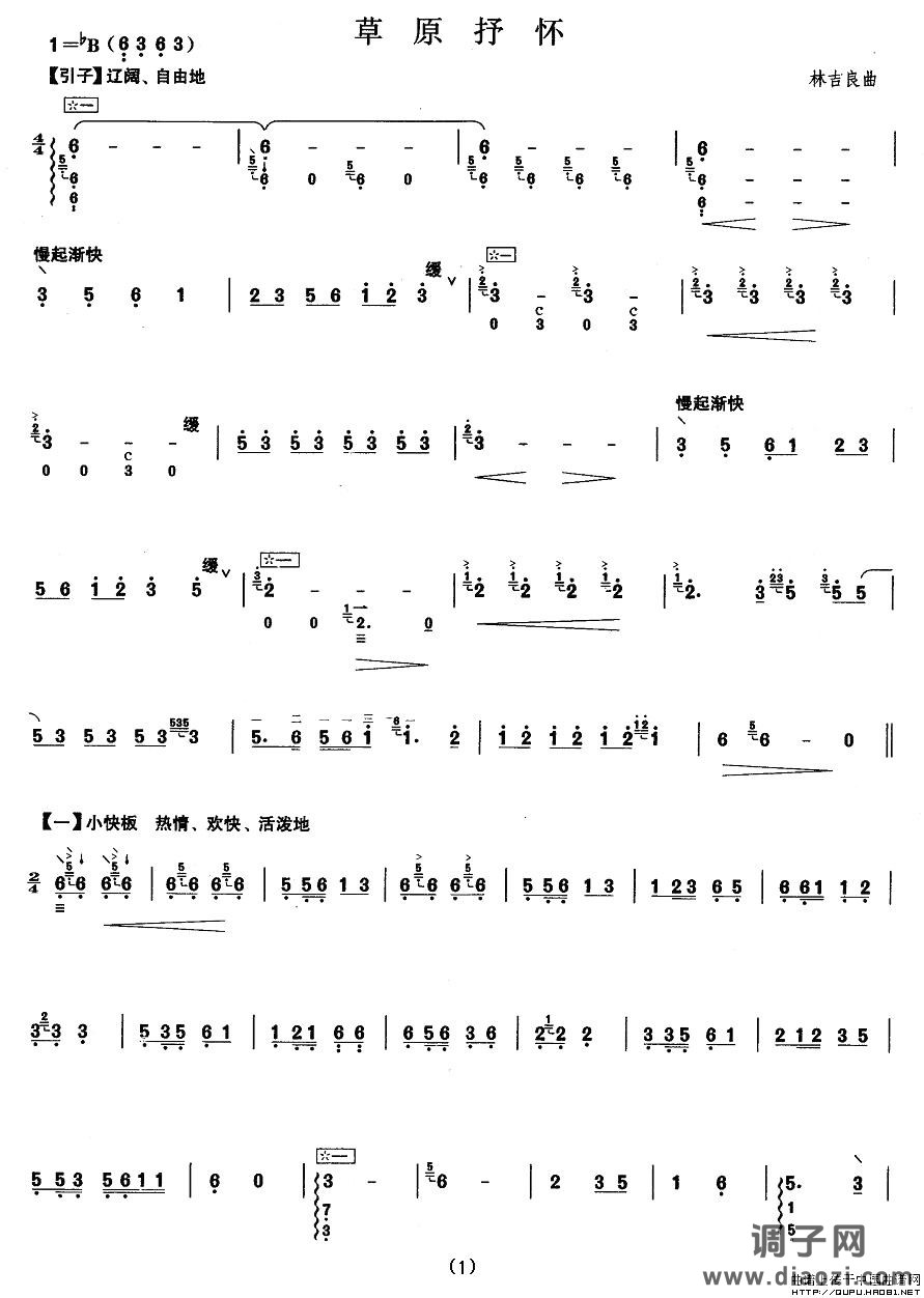 柳琴七级：草原抒怀