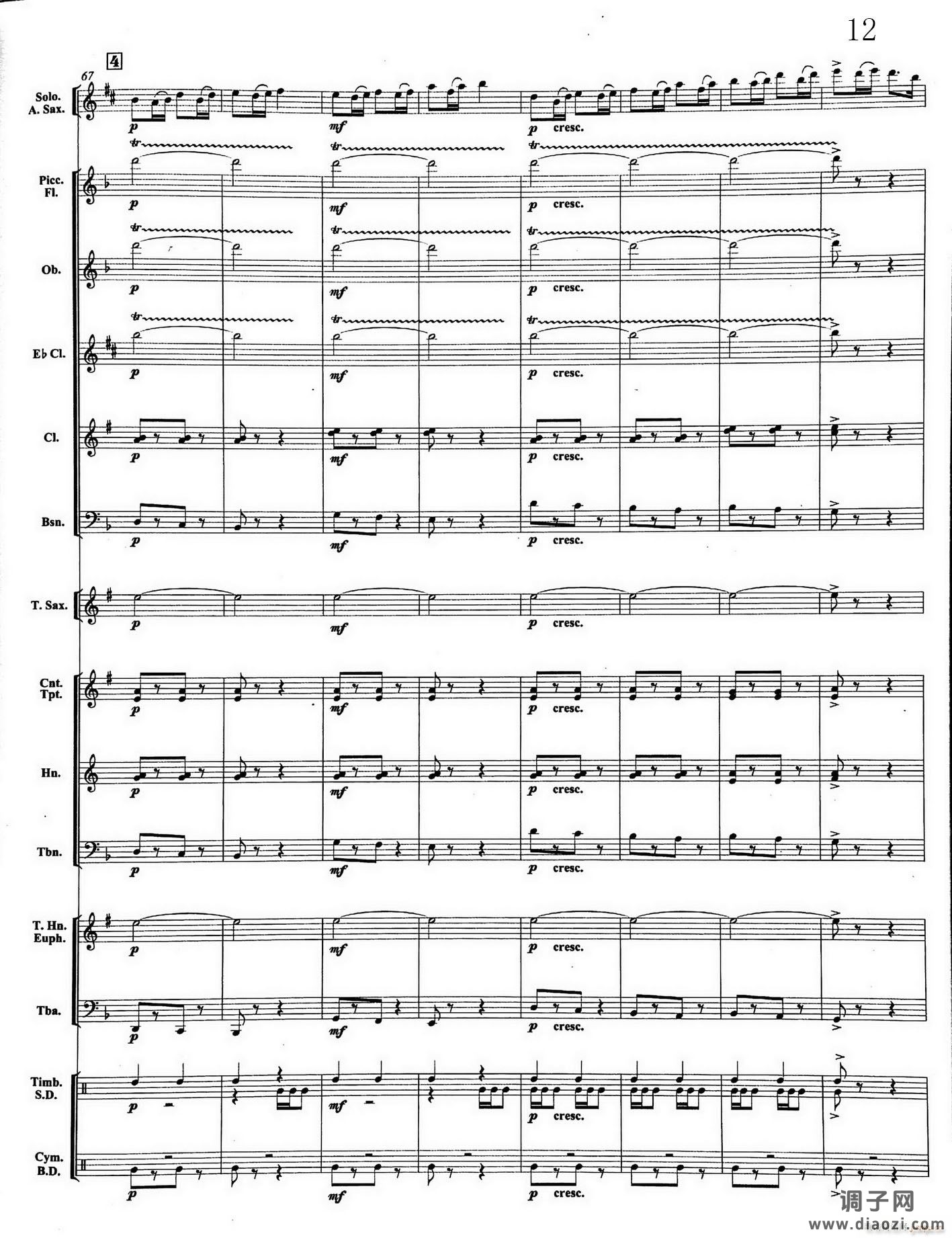12大顶子山高又高(Eb萨克斯与乐队)总谱