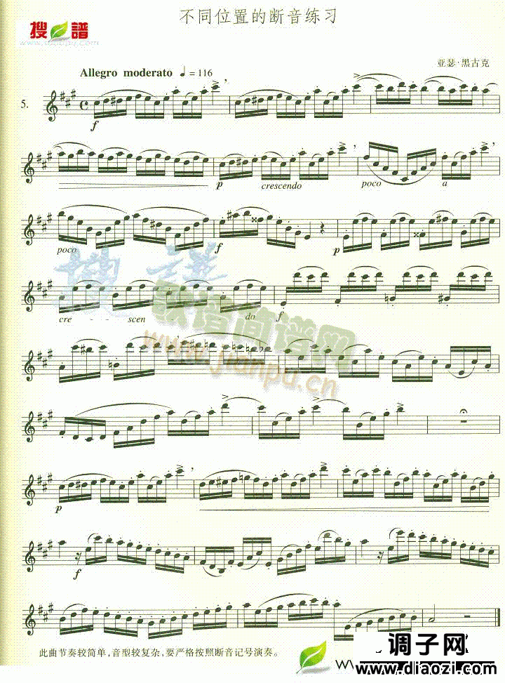 不同位置的断音练习