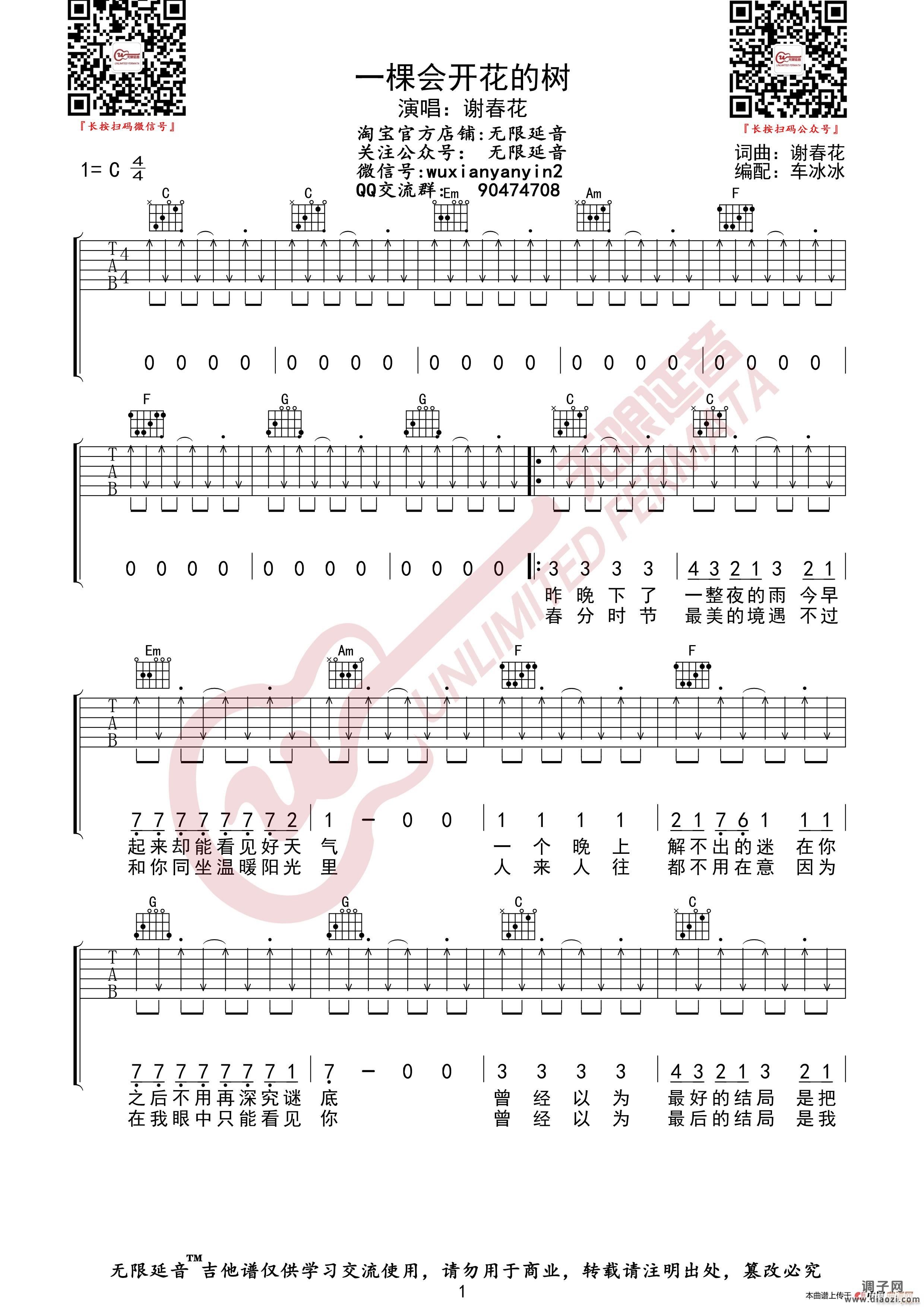 谢春花 一棵会开花的树 （无限延音编配）