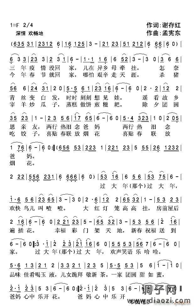 今年回家过大年