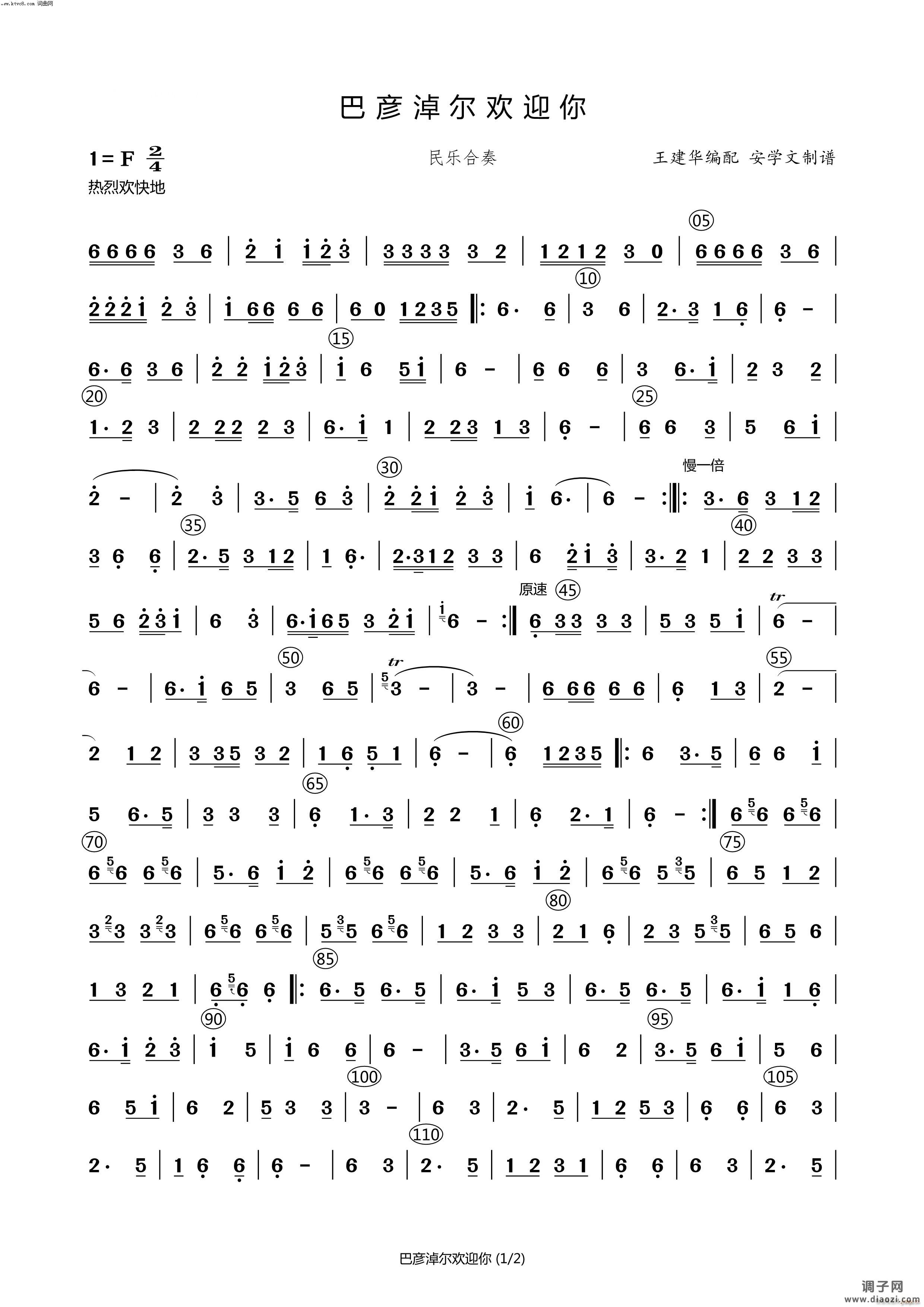 巴彦淖尔欢迎你(民乐合奏曲)