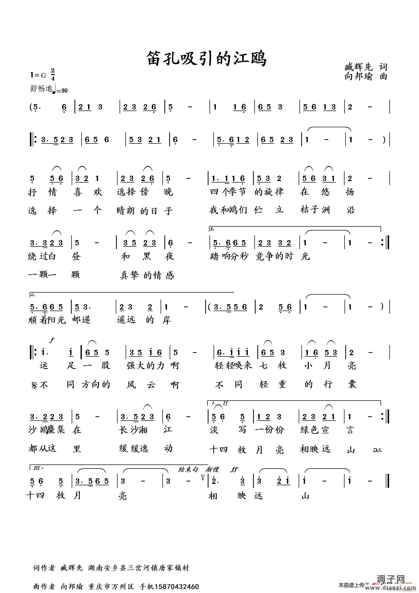 笛孔吸引的江鸥