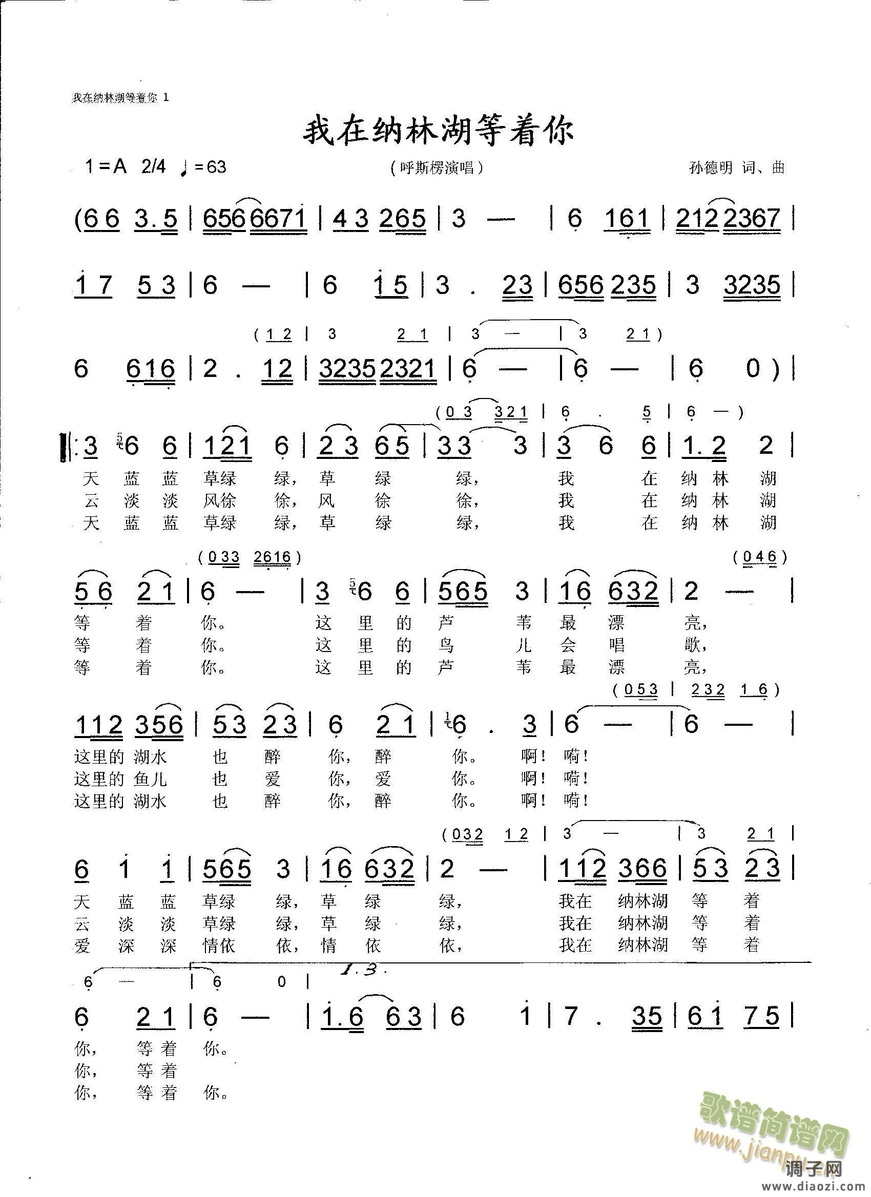 我在纳林湖等着你