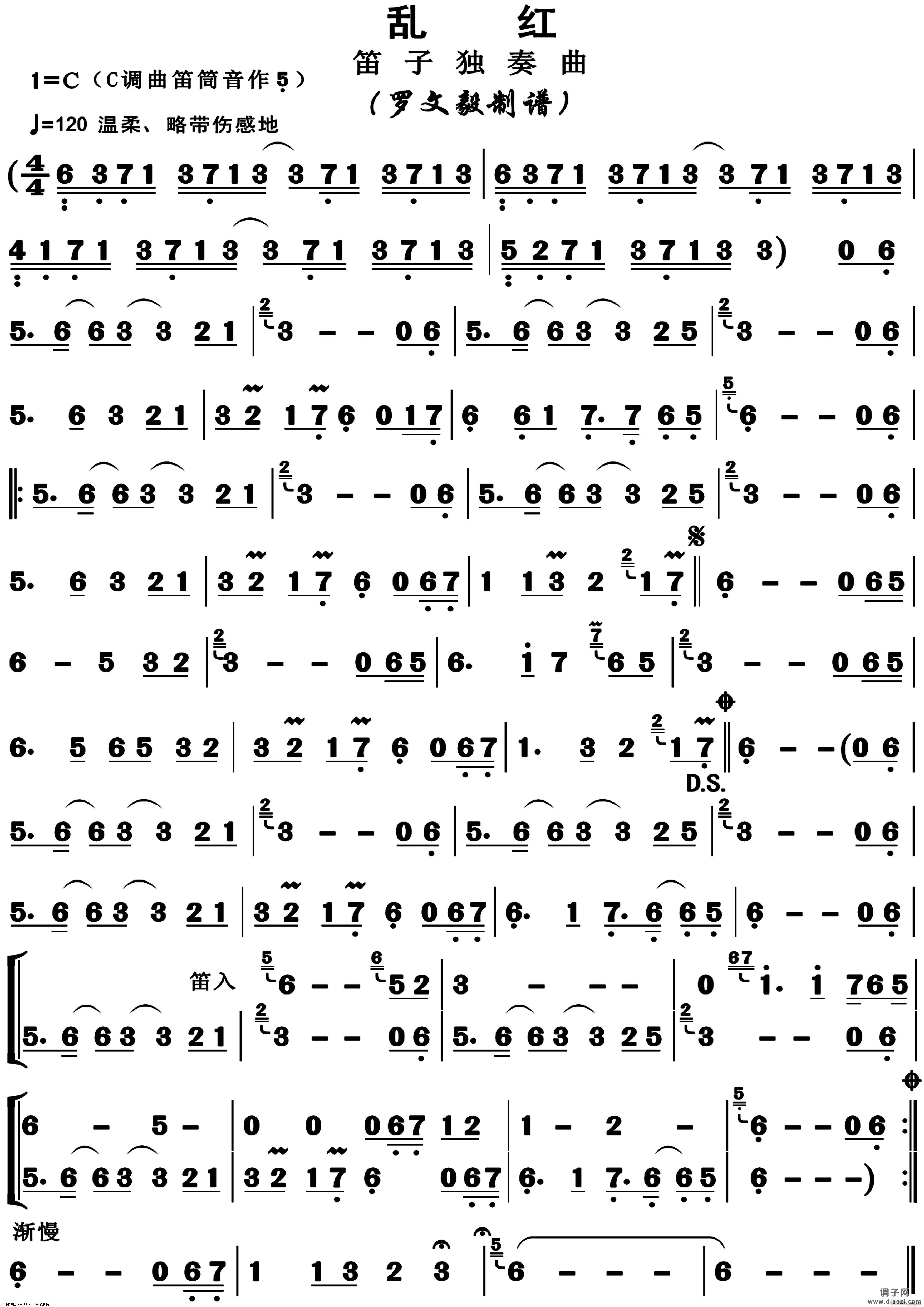 乱红(正版高清)
