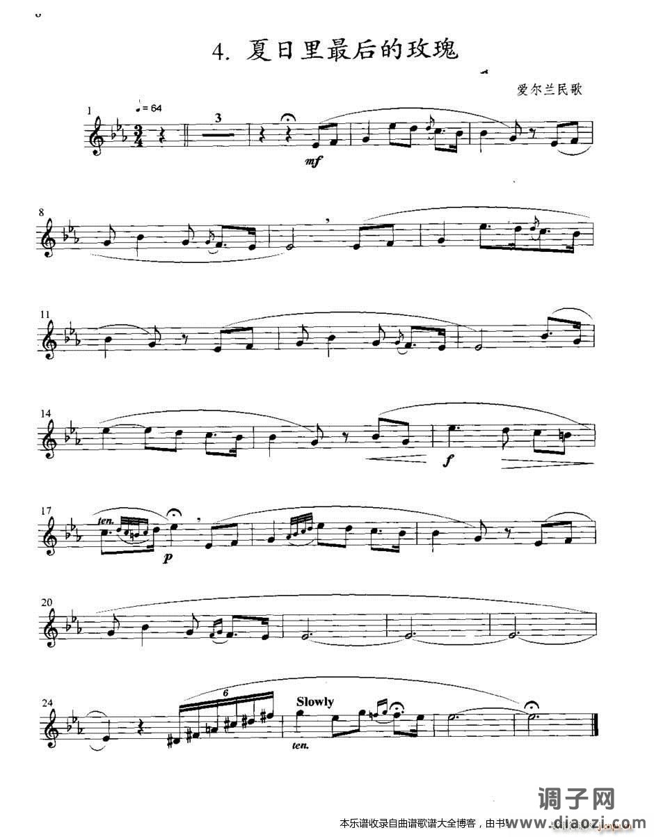 小号夏日里最后的玫瑰