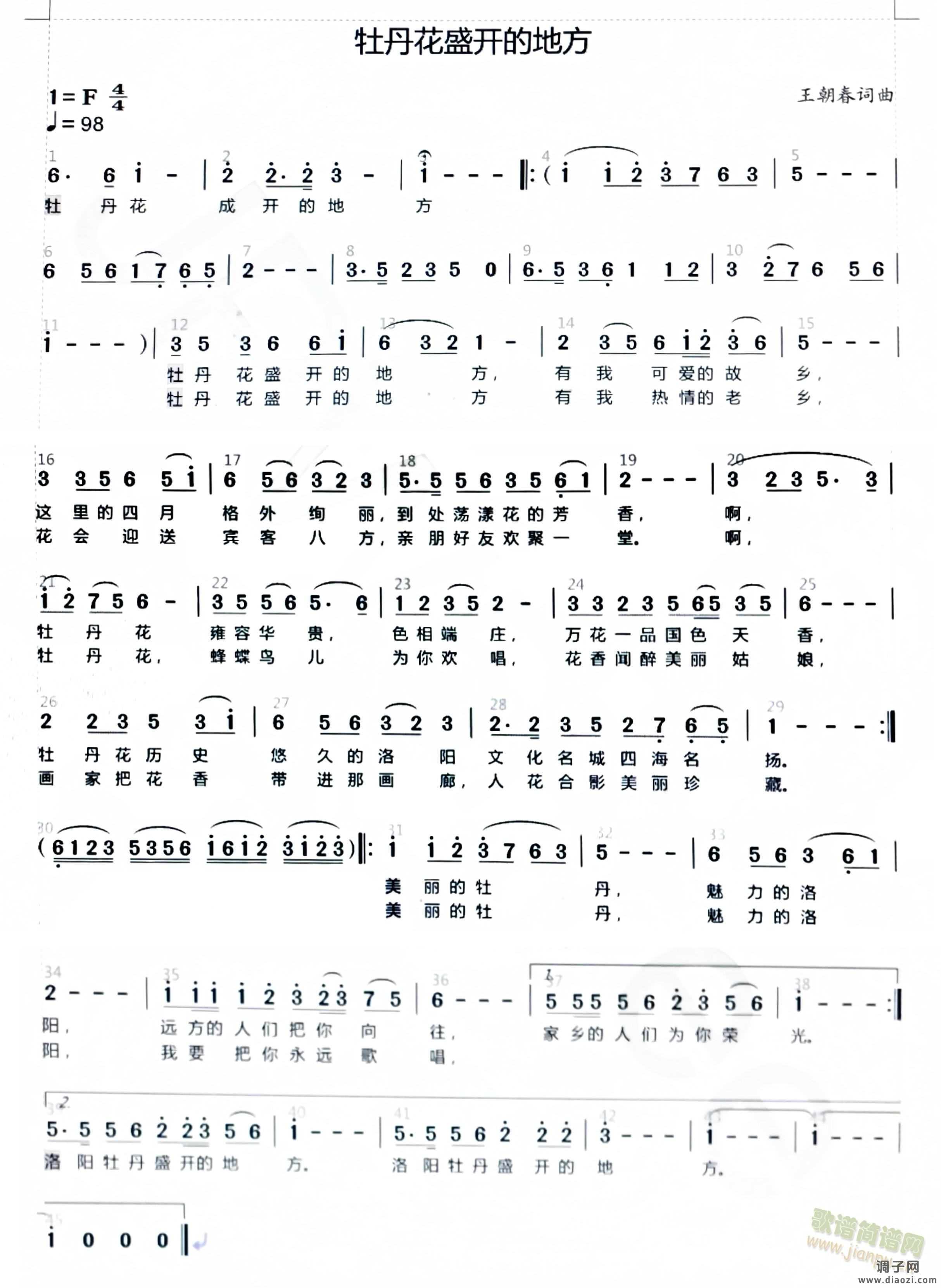 牡丹花盛开的地方