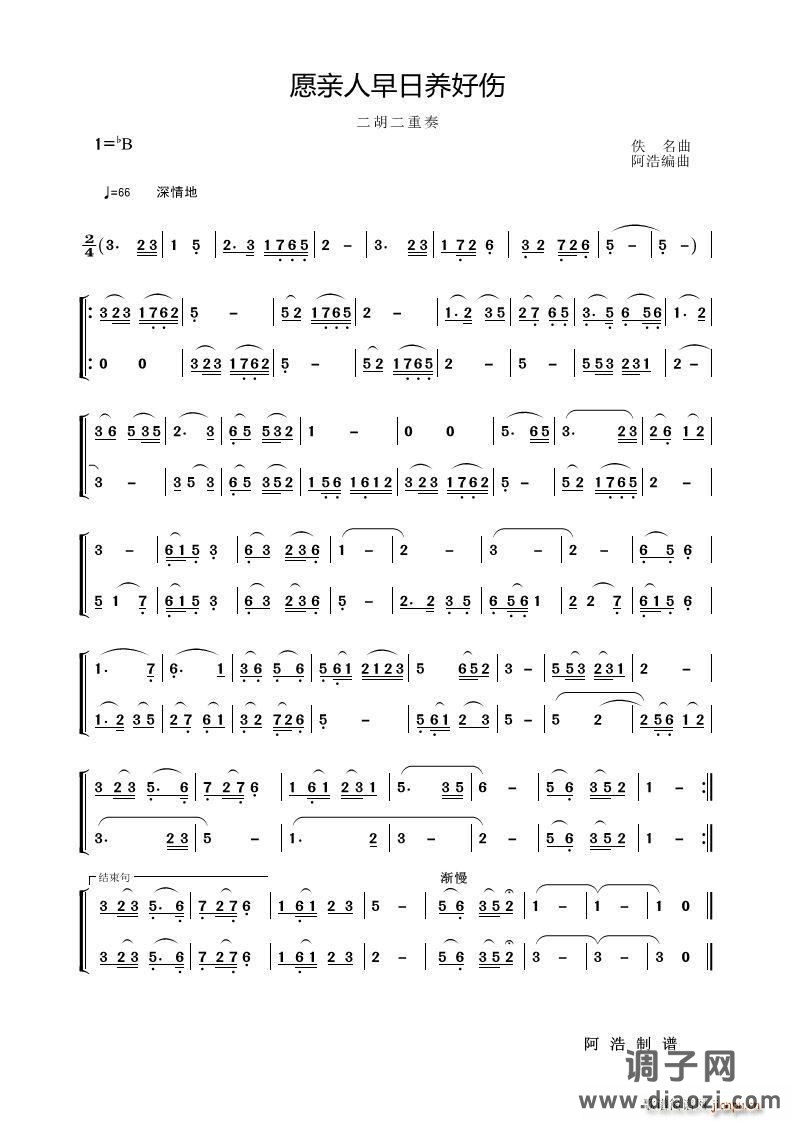 愿亲人早日养好伤（二胡二重奏）