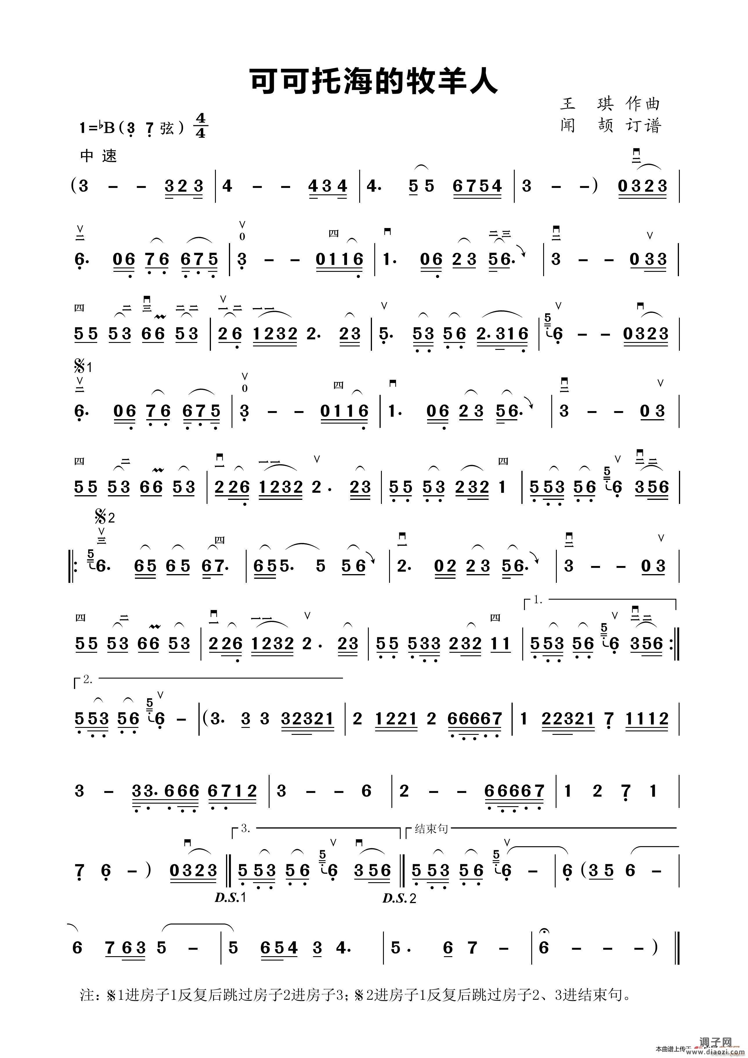 可可托海的牧羊人（二胡演奏谱）