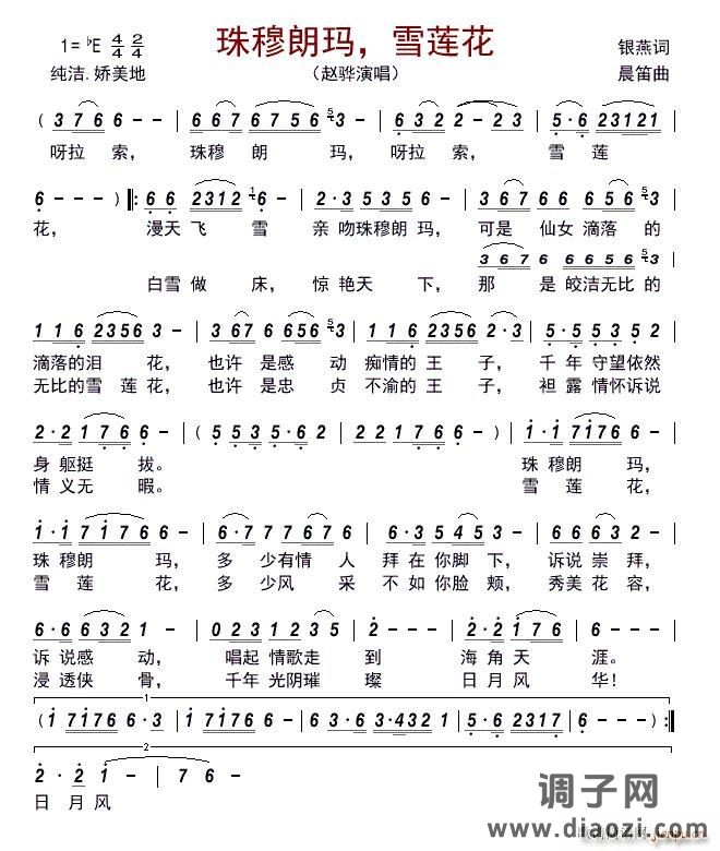 珠穆朗玛 雪莲花