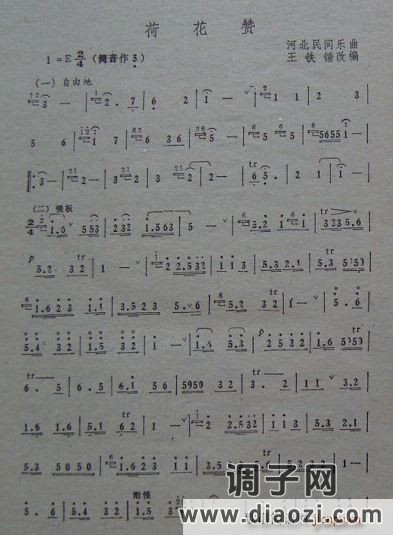 荷花赞（民间乐曲 王铁锤改编）