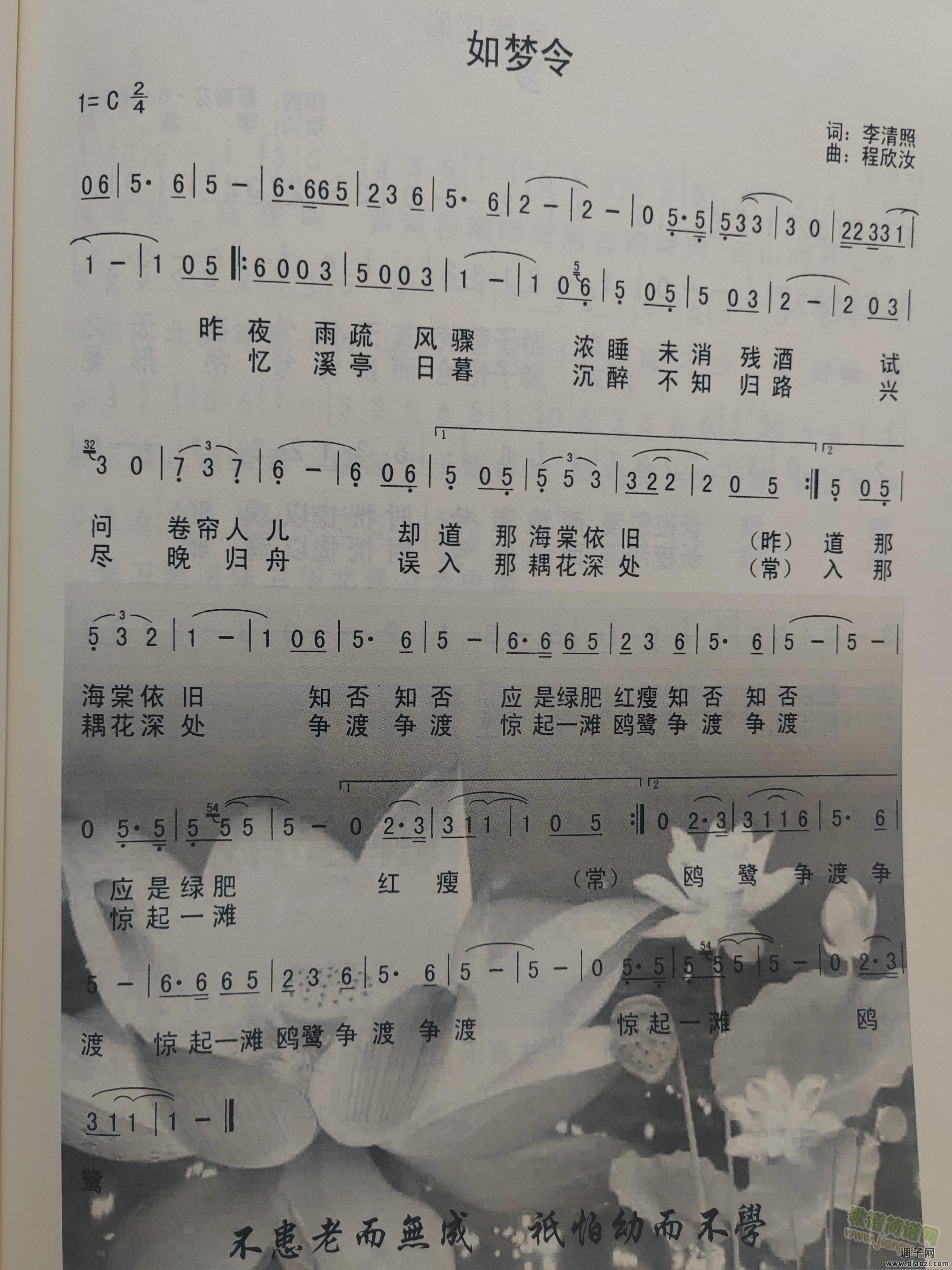 如梦令  李清照