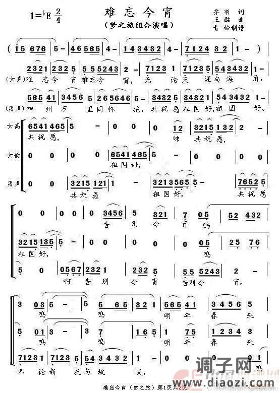 难忘今宵（梦之旅版）