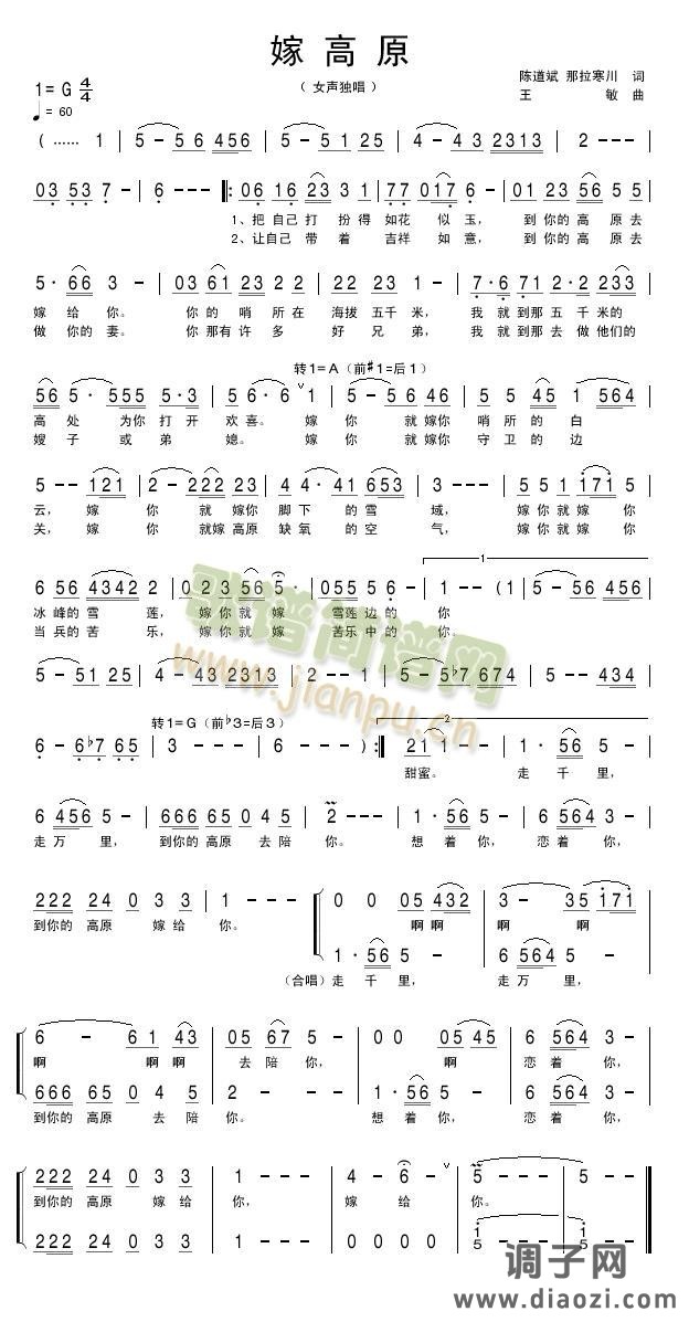 嫁高原(陈)