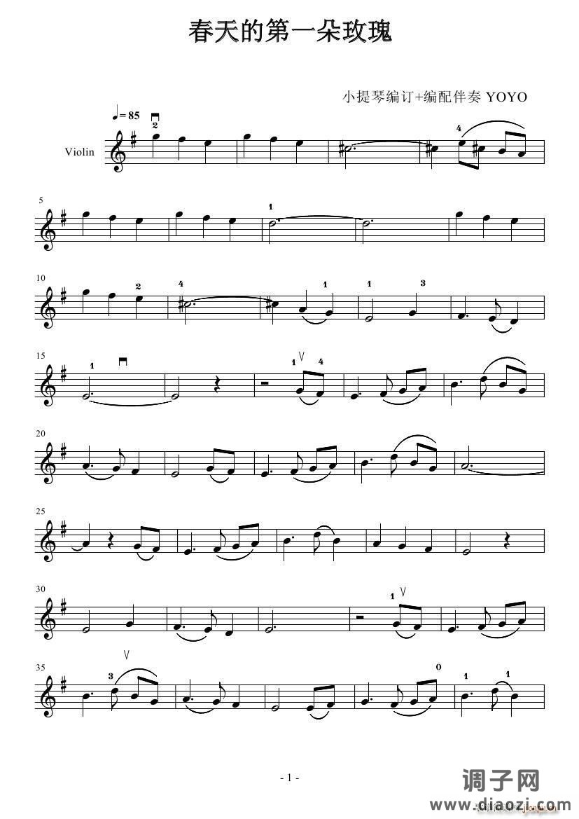 春天第一朵玫瑰