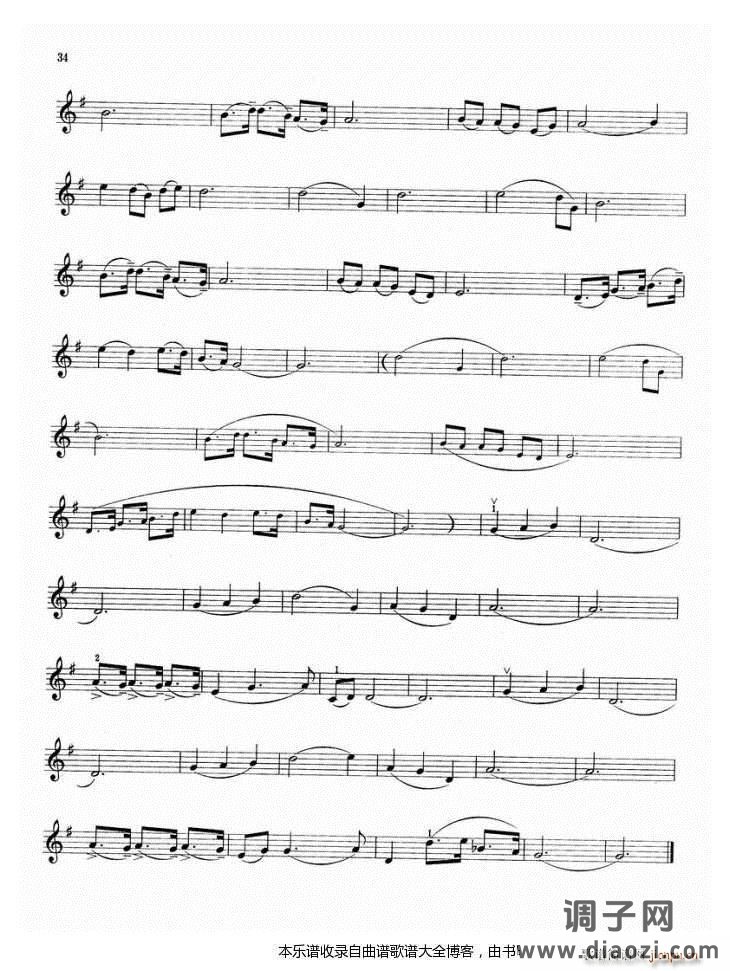 小提琴浅水湾的靓影