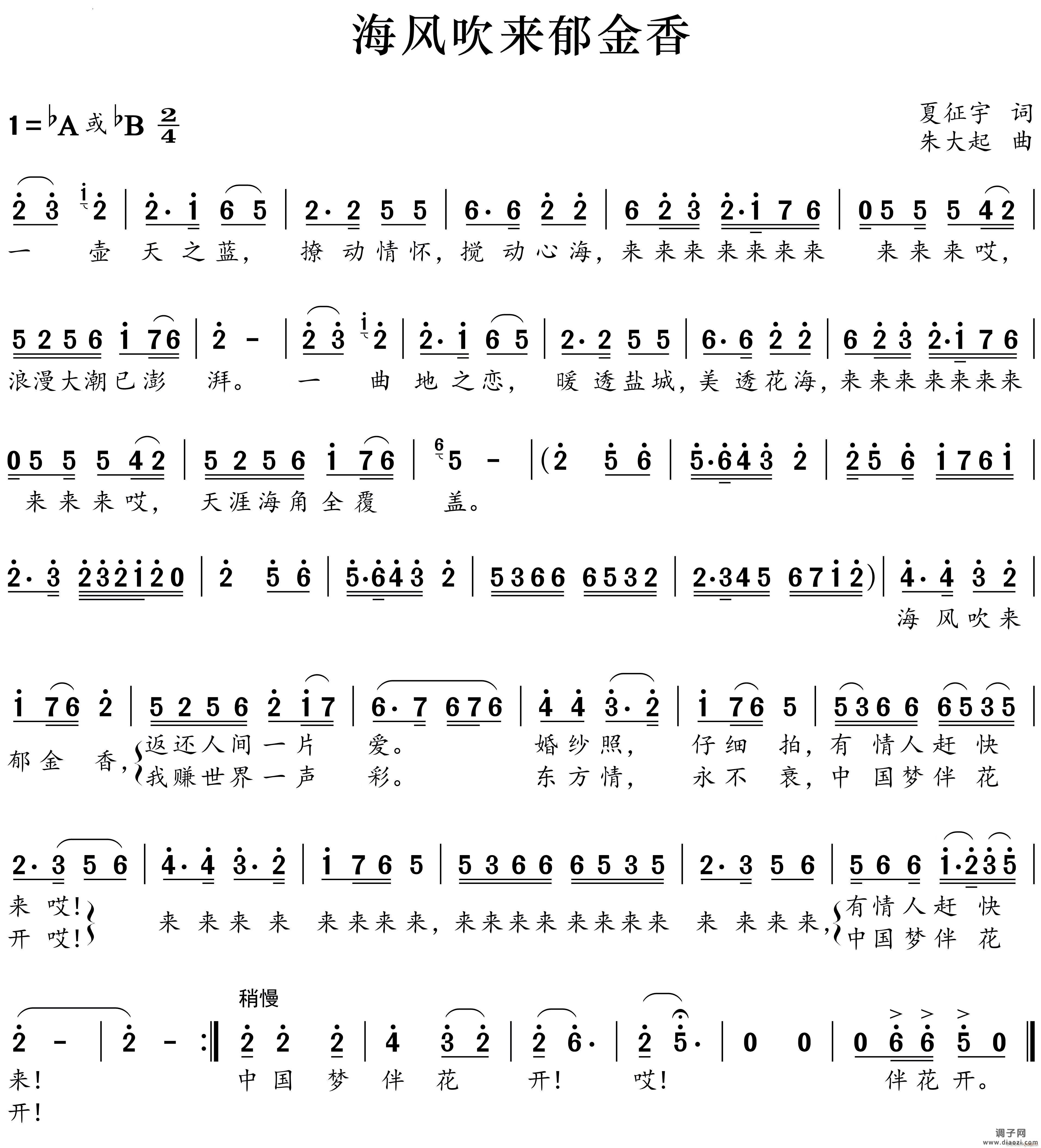 海风吹来郁金香