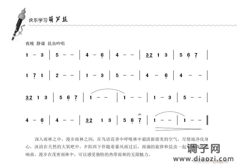 《雨林漫步》 葫芦丝