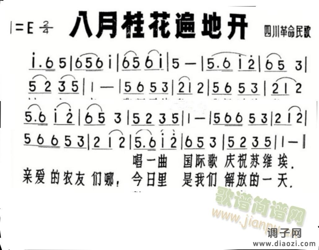 八月桂花遍地开