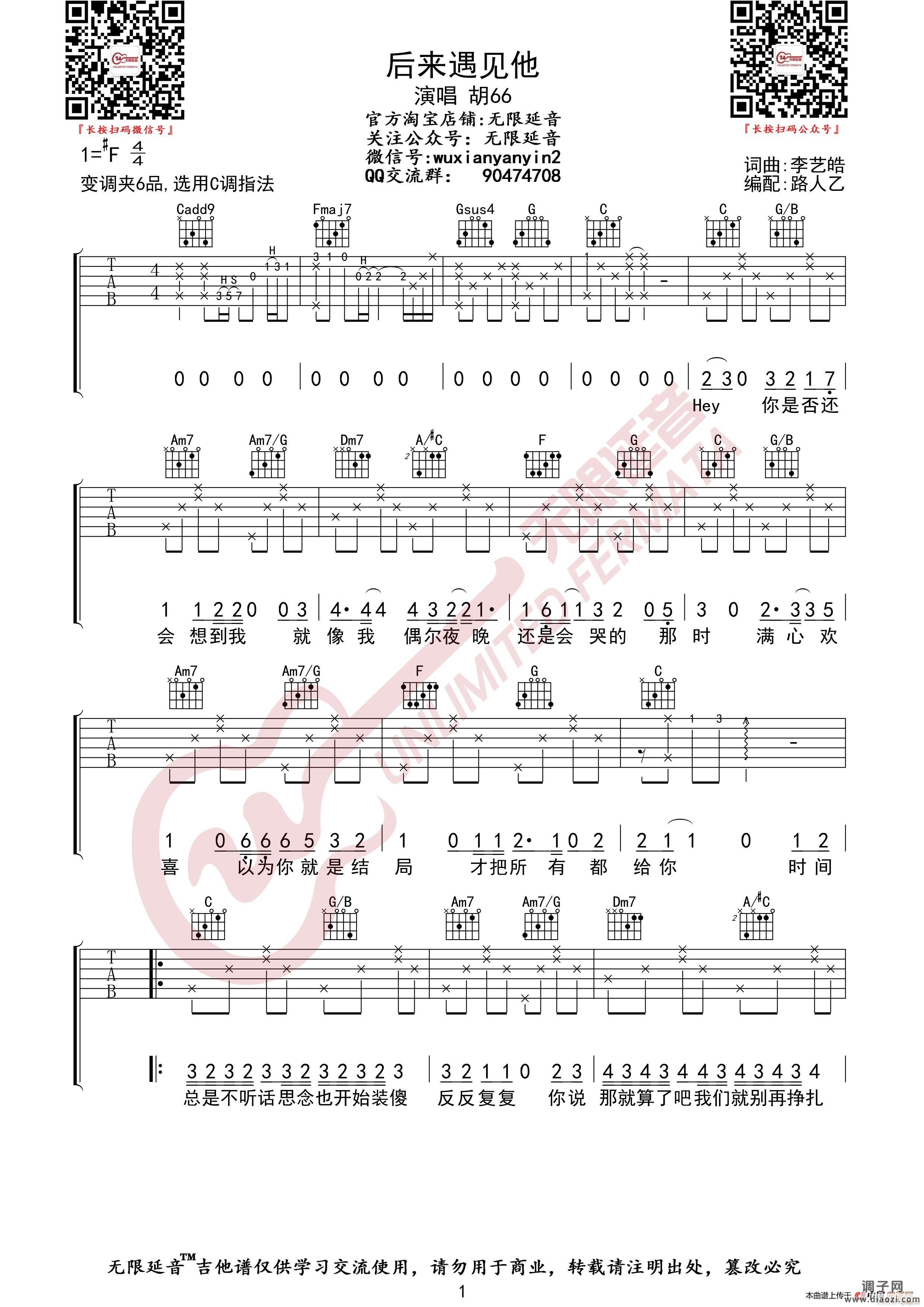 胡66 后来遇见他 （无限延音编配）